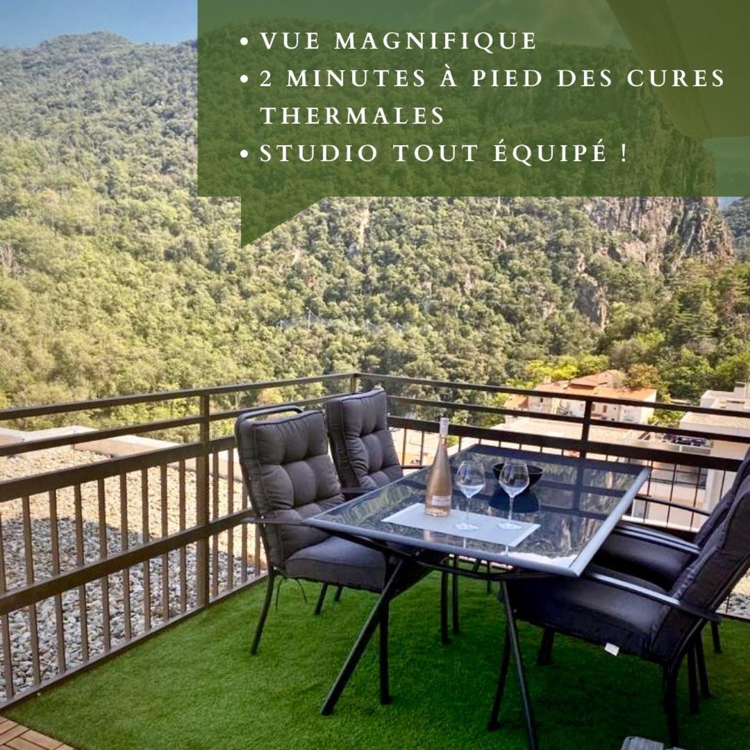 Studio Tout Equipe Amélie-les-Bains-Palalda Exterior foto