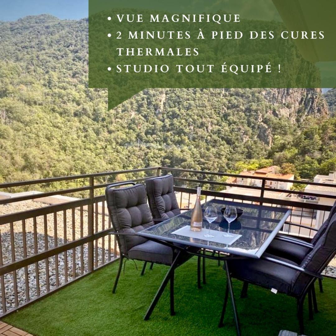 Studio Tout Equipe Amélie-les-Bains-Palalda Exterior foto